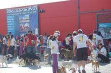 Iª Cãominhada do concelho da Guarda foi um
sucesso