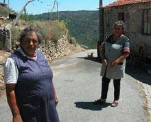 Cães envenenados em Dominga Feia