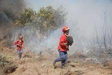 Dois dias infernais no concelho do Sabugal