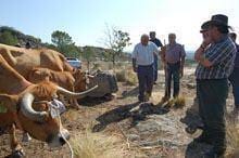 Suspeição mirandesa não retirou brilho à
Feira do Jarmelo