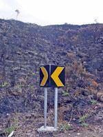 Área ardida é dez vezes superior ao ano
passado