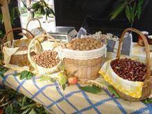 Mercado de Agricultura Familiar no domingo
        em Pinhel