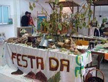 Festa da Castanha’09 da Escola Profissional de Trancoso