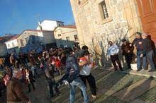 Voltaram a “chover” castanhas