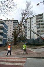 Oposição questiona critérios para
        remodelação de quiosques na Guarda