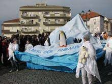 O Carnaval à moda da região