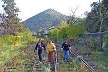 Reabilitação da linha Pocinho-Barca d’Alva «é para avançar»