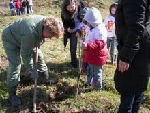 Crianças ajudam a pintar o cinza