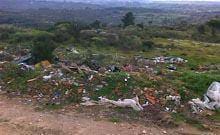 ”Limpar Portugal” no terreno este sábado