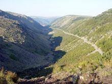 «Vencer as “7 Maravilhas Naturais de Portugal” é alavanca para Manteigas»