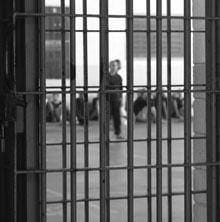 Cérebro de predadores sexuais estudado