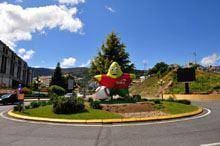 “Estrelas” portuguesas começam a chegar
        amanhã