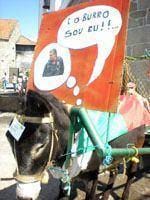 Burros animaram Carpinteiro