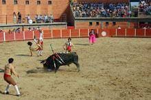 Centenas na Praça de Toiros para aplaudir
grande corrida