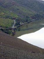 Vítima de acidente encontrada a 15
quilómetros do despiste