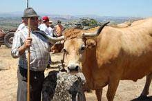 Plano para o desenvolvimento rural do
distrito em andamento