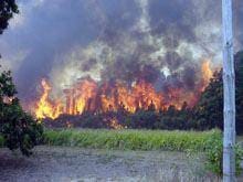 Calor faz regressar fogos ao distrito