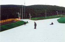 SkiParque cria novos empregos no concelho de
        Manteigas