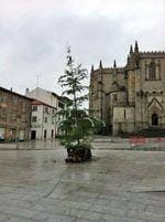 Um exemplo de auto-estima