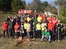 Bombeiros plantam primeiras árvores
