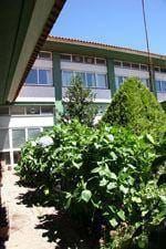 O pátio das hortênsias acabou! Viva o
cimento!