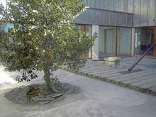 O pátio das hortênsias acabou! Viva o
cimento!