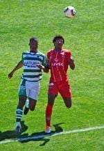 “Leões da serra” depenam “galos”