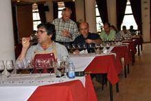 Vinhos da região aprovados por enólogos
        nacionais