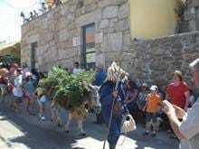 V Festa dos Burros em Carpinteiro