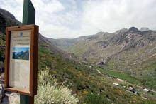 Comunistas e “Os Verdes” questionam Governo sobre vigilância no PNSE