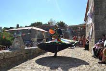 Sortelha à boleia da história