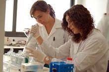 Projeto de investimento em equipamento
concluído