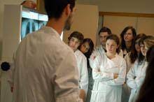 Os cursos da Faculdade