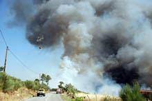 Mais de 3 mil hectares ardidos no início de
        outubro