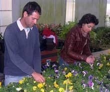 «Sem empregos não haverá certamente
quaisquer mais-valias»