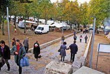 Feirantes satisfeitos com «melhores
        condições»