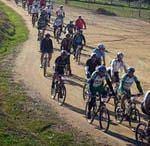 Maratona de BTT em Pinhel