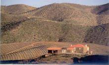 Sentir a Arte Rupestre do Vale do Côa