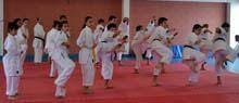 Estágio Internacional de Karate na Guarda