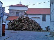 Madeiro de Penamacor é a tradição de Natal mais criativa do país