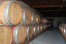 Vinho de Figueira de Castelo Rodrigo
        aprovado por Robert Parker