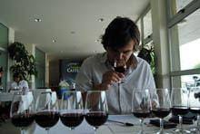 Exportações de vinhos da Beira Interior
crescem sete por cento