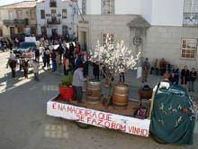 Desfile etnográfico de Foz Côa contou com 50
carros