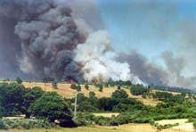 Guarda já é o terceiro distrito com mais
        área ardida