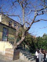 Uma casa cheia de vida