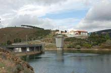 Peixes apareceram mortos na Barragem do
Caldeirão