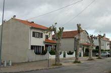 Árvores podadas agradam a moradores