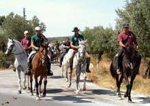 Encontro equestre em Pinhel no domingo