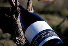 Medalha de prata para Vale de Esgueva no
Concurso Nacional de Vinhos