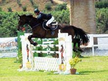 Francisco Mendes Rosa primeiro em Abrantes